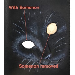 Somenon Masking Fluid