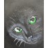 Somenon Masking Fluid