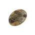 Buckle "Steampunk Gear Trophy" 38mm