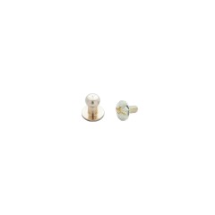 Colar button D020 6mm (Brass, Brass)