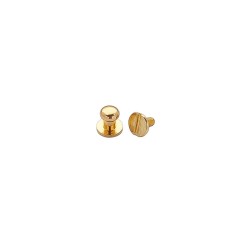 Colar button LBS 6mm (Brass, Gold)