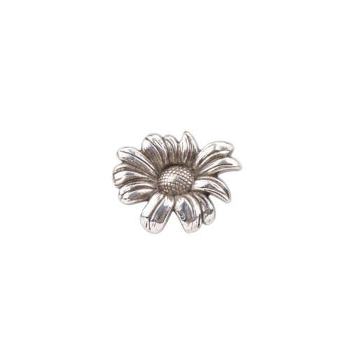 Concho Daisy-1