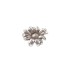 Concho Daisy-1