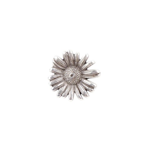 Concho Daisy-2