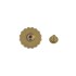 Concho Flower-1