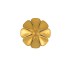 Concho Veronica Flower