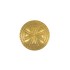 Concho Shield-2