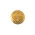 Concho Shield-1
