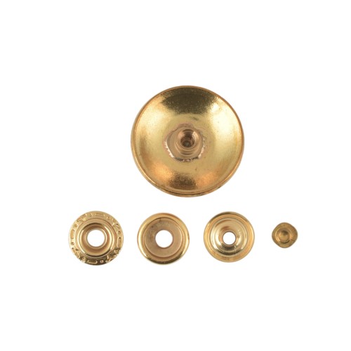 Concho Shield-1