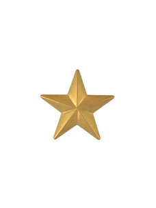 Кончо Звезда-1