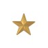 Concho Star-1