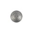 Concho Leopard (Nickel)