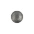Concho Horseshoe wisdom (Nickel)