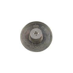 Concho Russian Emblem (20 kopecks, Nicholas 2)