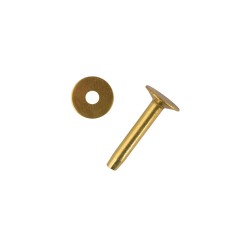 Brass rivet 10x19mm