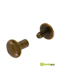 Винт ременной BG-7700 10мм (ст.латунь, полукруглый)