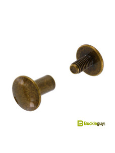 Винт ременной BG-7700 10мм (ст.латунь, полукруглый)