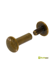 Винт ременной BG-7700 16мм (ст.латунь, полукруглый)