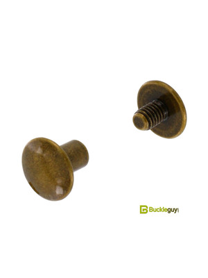 Винт ременной BG-7700 6мм (ст.латунь, полукруглый)