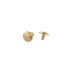 Chicago Screw Brass 7x10mm (rounded)