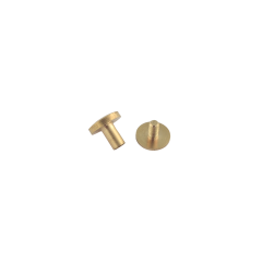 Chicago Screw Brass 8x10mm (rounded)