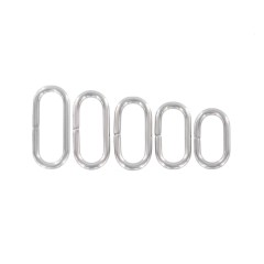 Watch Loop WBG-100S (Polished SS)