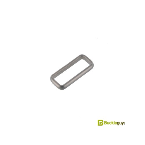 Watch Loop WBG-100SE (Matte SS)
