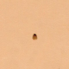 Stamp P972