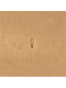 Штамп A98 (Velikanov)