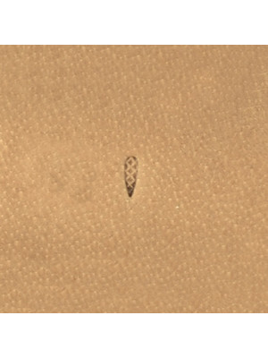 Штамп A98 (Velikanov)