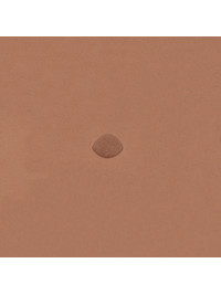 Штамп B896 (Velikanov)