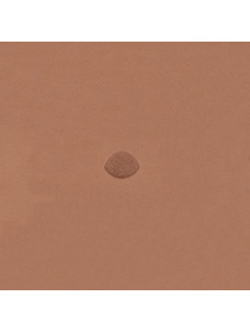 Штамп B896 (Velikanov)