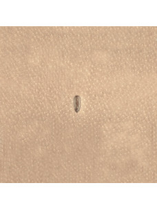 Штамп P999 (Velikanov)