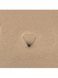 Штамп Треугольник #6-70 (Velikanov)