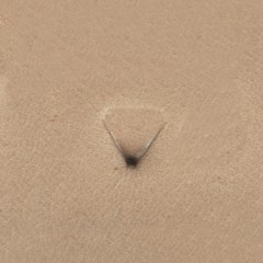 Stamp Triangle #6-70 (Velikanov)